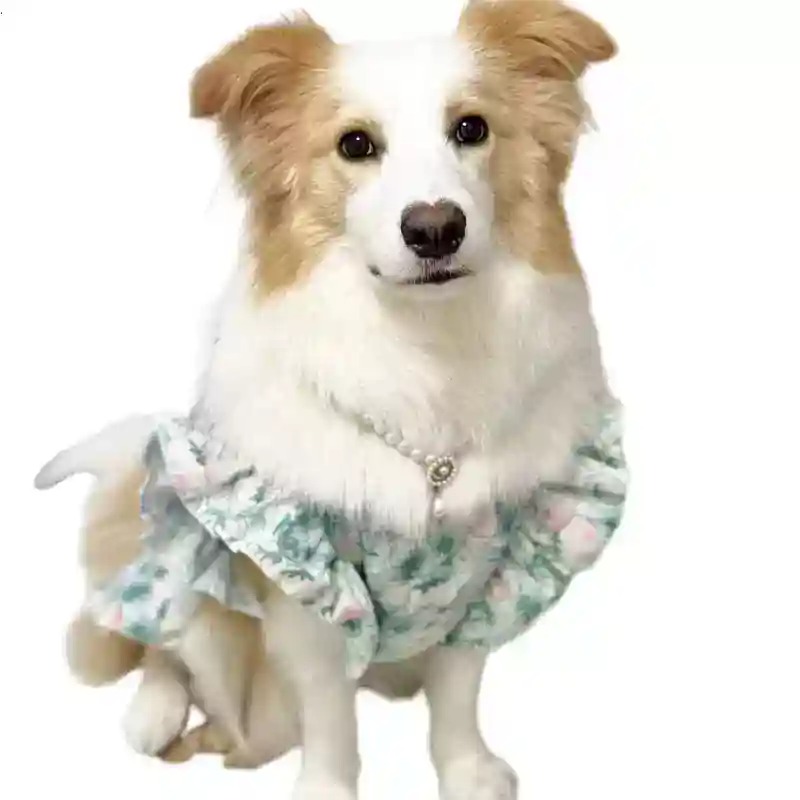 Summer Dog Clothing - Vêtements pour animaux de compagnie Printemps