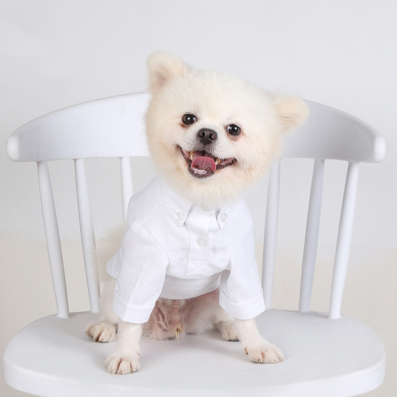 Chemises à bascule pour animau - Summer Dog Clothing avis et prix