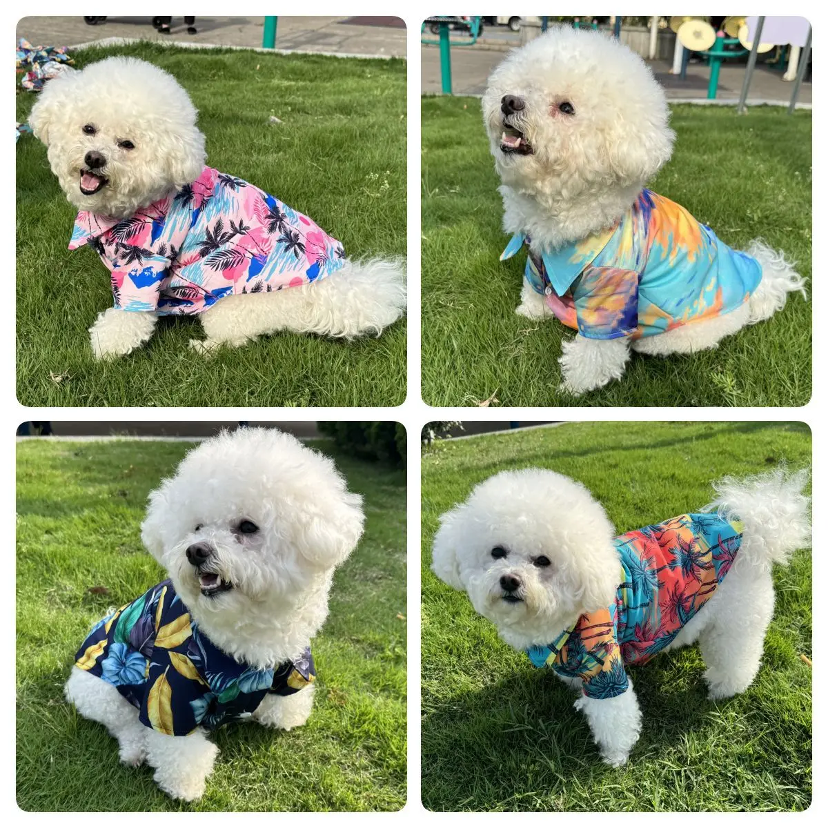 Chemise hawaïenne pour animaux - Summer Dog Clothing avis et prix