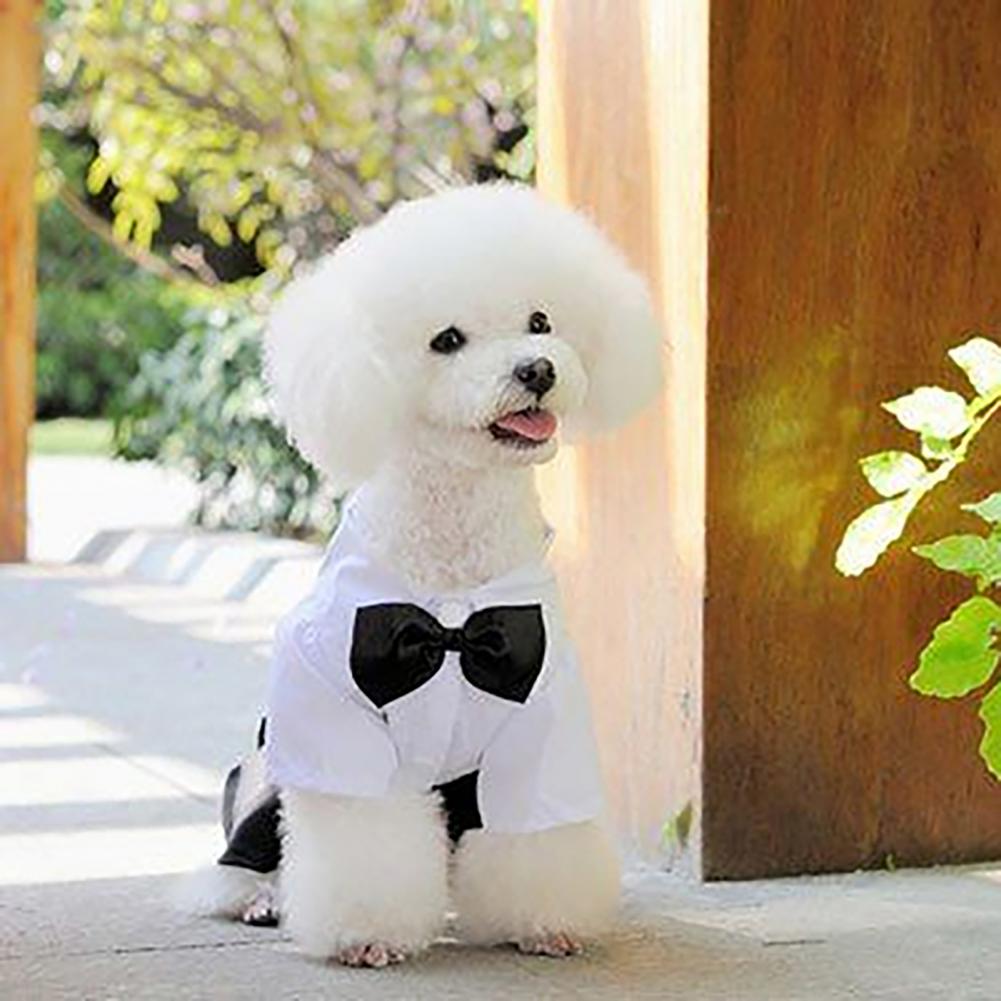 Costume de Smoking pour Chien  - Summer Dog Clothing avis et prix