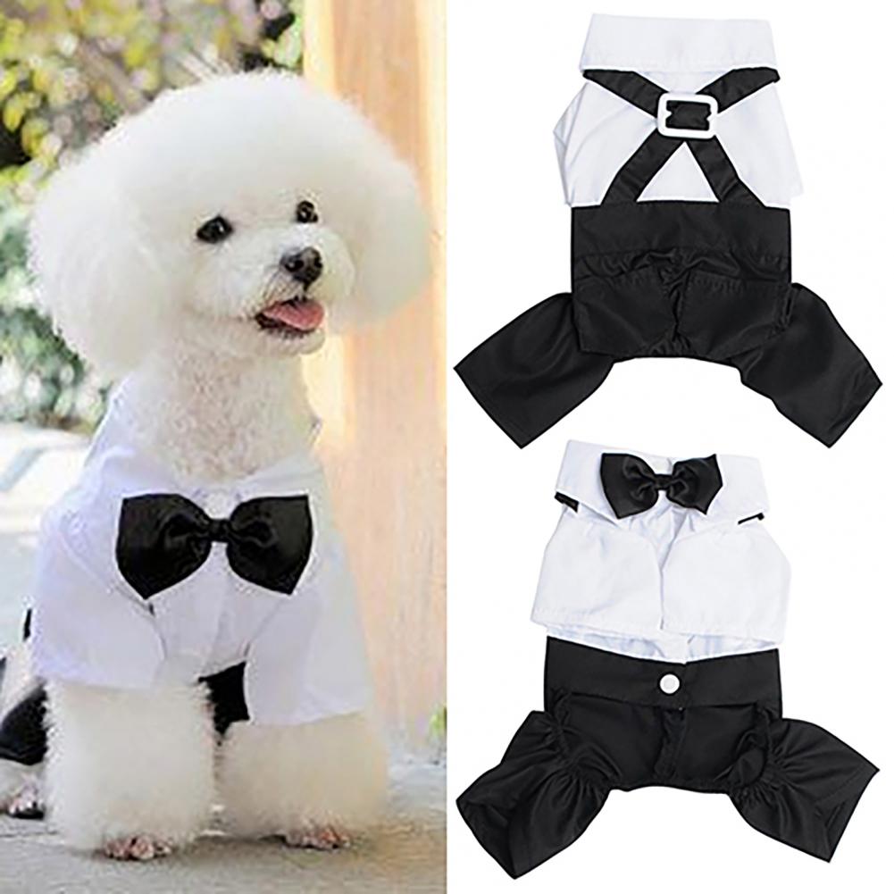 Costume de Smoking pour Chien  - Summer Dog Clothing avis et prix