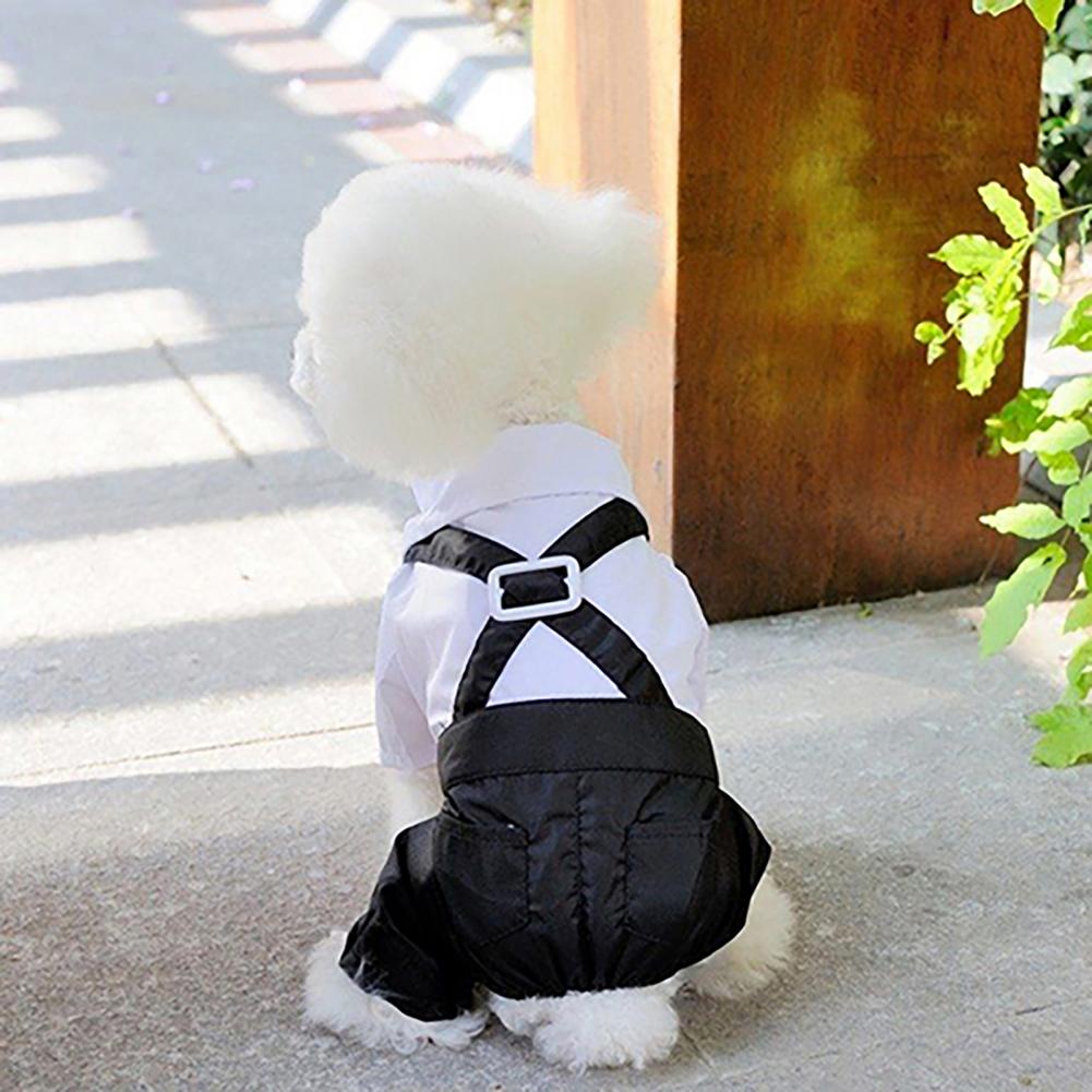 Costume de Smoking pour Chien  - Summer Dog Clothing avis et prix