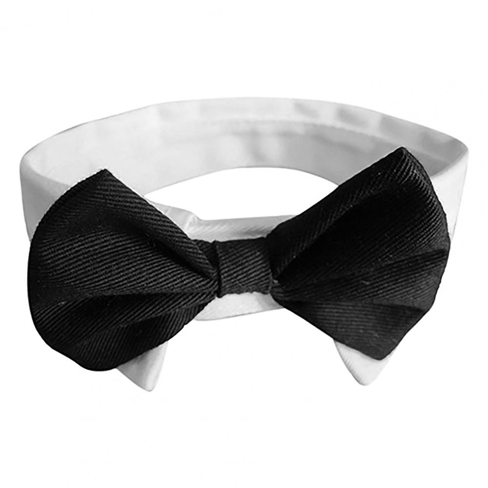 Costume de Smoking pour Chien  - Summer Dog Clothing avis et prix